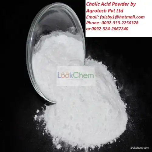 High Quality Ox Bile/Bile Extract/Cholic Acid