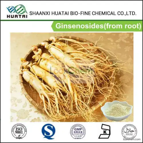 Herbal Medicine Panax Ginseng Extract 80% Ginsenosides Panaxosides With Best Price(22427-39-0)