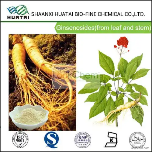 Anti Aging And Moisturizes Skin Cosmetics Raw Materials Bio-extraction Ginsenosides 80%