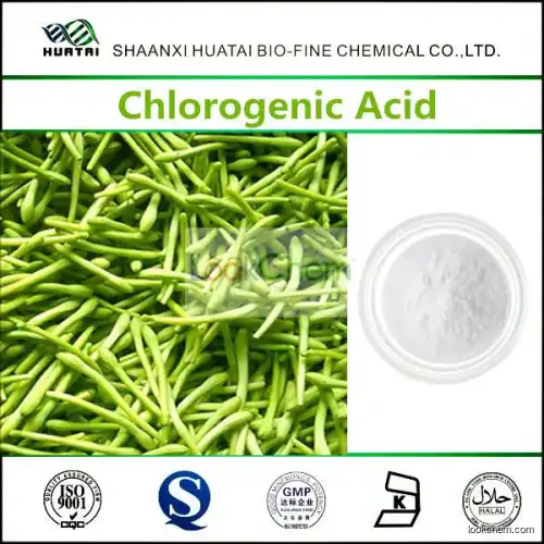 Anti-Radiation Plants Chlorogenic Acid 98% In Herbal Extract