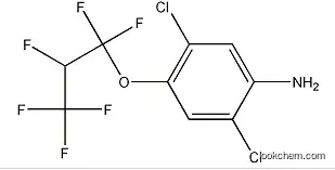 2,5-Dichloro-4-(1,1,2,3,3,3-hexafluoropropoxy)benzenamine