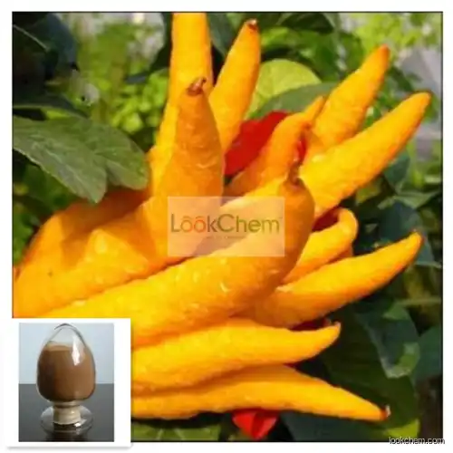 Natural Finger Citron Extract, Finger Citron powder, Fructus Citri Sarcodactylis Extract Powder