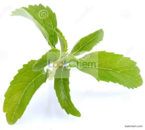 Hot Sale Product 100% Natural Stevia Extract Rebaudioside A 40%~99%