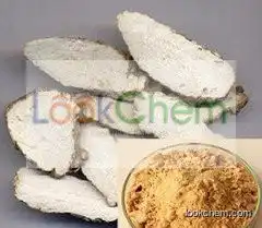 Angelica Dahurica Root Extract