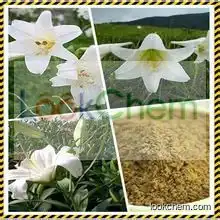 Good Quality Lily Extract/Bulbus Lilii extract 10:1