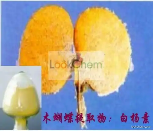 Chrysin 98%, Pure Chrysin, Semen Oroxyli Extract Chrysin Powder