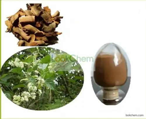 Thunder God Vine Extract,Thunder God Vine Extract Powder,Thunder God Vine P.E.