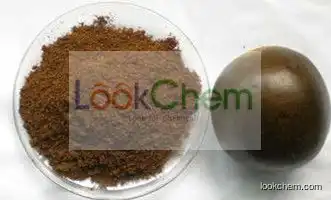 Bulk Supply  Nature Momordica Grosvenori Swingle  Extract  80%