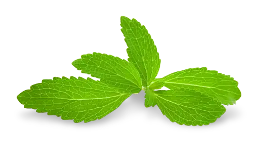 Stevia-EX Stevia Extract