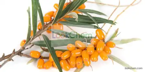 Sea Buckthorn-EX Sea Buckthorn Extract