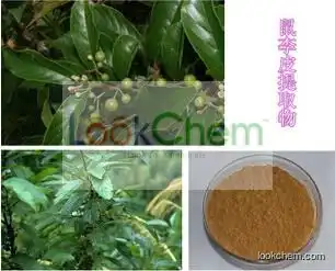 Cascara Sagrada Bark Extract, Cascara Sagrada Bark Extract Powder