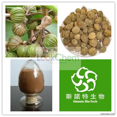 100% PureAmomum Villosum Extract,Amomum Villosum Extract Powder,Amomum Villosum Extract 5:1 10:1 20:1