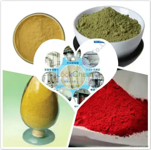 100% PureAmomum Villosum Extract,Amomum Villosum Extract Powder,Amomum Villosum Extract 5:1 10:1 20:1