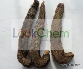 Top Quality Cistanche Deserticola,Caulis Cistanchis Extract,Cistanche tubulosa Extract