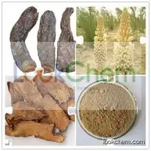 Top Quality Cistanche Deserticola,Caulis Cistanchis Extract,Cistanche tubulosa Extract