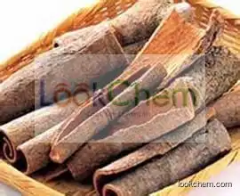 Top Quality Cinnamon Cassia Extract Powder