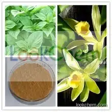 Top Quality Cinnamon Cassia Extract Powder