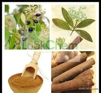 Top Quality Cinnamon Cassia Extract Powder