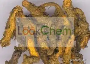 High Purity Coptis Chinensis Root Extract Powder