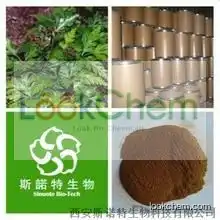 High Purity Coptis Chinensis Root Extract Powder