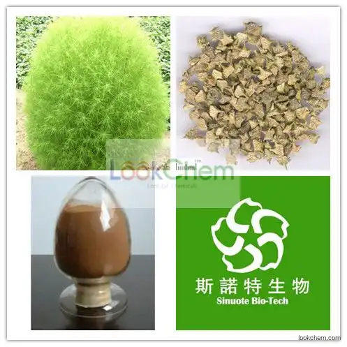 100% PureAmomum Villosum Extract,Amomum Villosum Extract Powder,Amomum Villosum Extract 5:1 10:1 20:1Broom cypress seed extract/Belvedere Fruit Extract powder