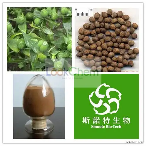 Factory Supply 100% Pure Leptochloa extract Extract of Euphorbiae Caper Euphorbia Seed Extract