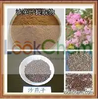 100% Natural Semen Astragali Complanati Extract /Flastem Milkvetch Seed Extarct Powder 10:1