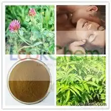 Damiana Extract,Damiana Extract Powder,Damiana Leaf Extract