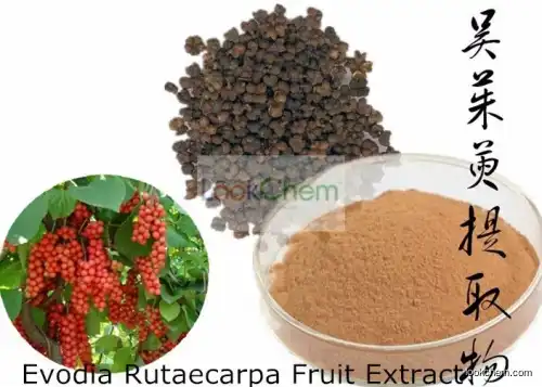 Factory Supply Natural Evodia Rutaecarpa Fruit Extract