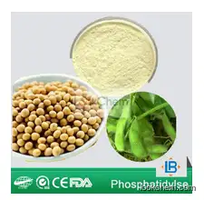 LGB high quality 20%,50% PS phosphatidylserin powder for brain memory CAS NO.8002-43-5  phosphatidylserinLGB high quality soybean seeds extract phosphatidylserine ps, CAS NO.8002-43-5