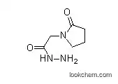 piracetam hydrazide manufacturer high quality