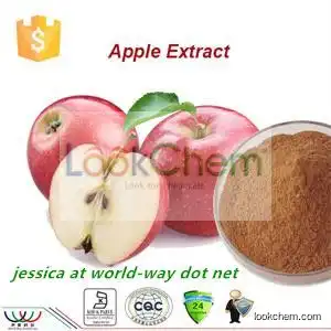 2016 China GMP KOSHER HACCP manufacturer supply Apple Fruit Extract Powder,Malus Pumila extract with 98% Phloridzin(60-81-1)