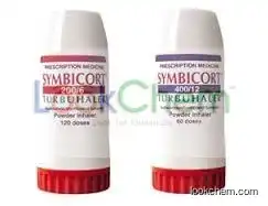 Symbicort(43229-80-7)