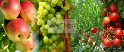 Organic Phosphorus Amino Acid Chelate fertilizer()