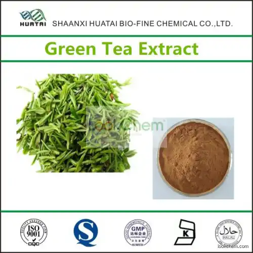 Green Tea Extract Powder for Weight Loss(84650-60-2)