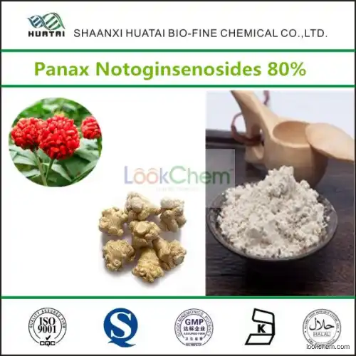 Chinese Herbal Medicine Panax Notoginseng Extract Panax Notoginsenosides Powder(88105-29-7)