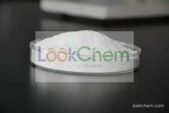 sodium carboxymethyl cellulose