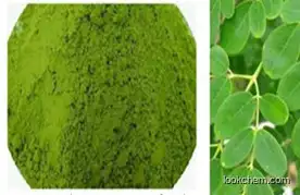 Moringa oleifera powder price