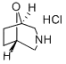8-OXA-3-AZABICYCLO[3.2.1]OCTANEHYDROCHLORIDE