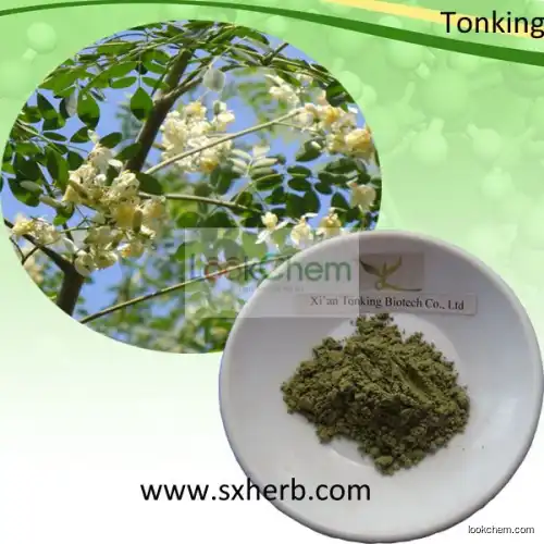 raw material moringa oleifera leaf powder / moringa seeds health benefits(9057-02-7)