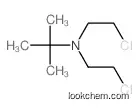 N,N-bis(2-chloroethyl)-2-methylpropan-2-amine