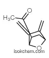 Ethanone, 1-[5,6-bis(methylene)-7-oxabicyclo[2.2.1]hept-2-yl]-, exo- (9CI)