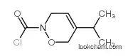 5-propan-2-yl-3,6-dihydrooxazine-2-carbonyl chloride