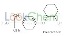 2-(4-TERT-BUTYLPHENOXY)CYCLOHEXANOL