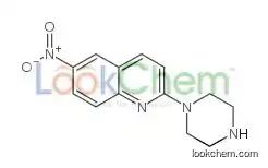 6-nitro-2-piperazin-1-ylquinoline