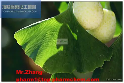 Irvingia gabonensis Extract