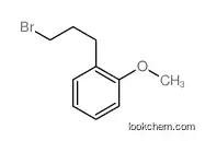 1-(3-bromopropyl)-2-methoxybenzene