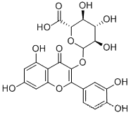 Quercetin 3-glucuronide