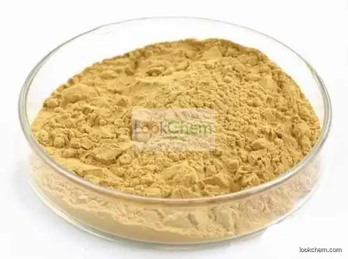 Eucommia ulmoides extract Chlorogenic acid 10%-50%