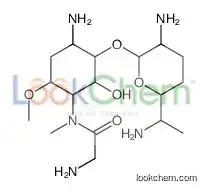 2-amino-N-[4-amino-3-[3-amino-6-(1-aminoethyl)oxan-2-yl]oxy-2-hydroxy-6-methoxycyclohexyl]-N-methylacetamide